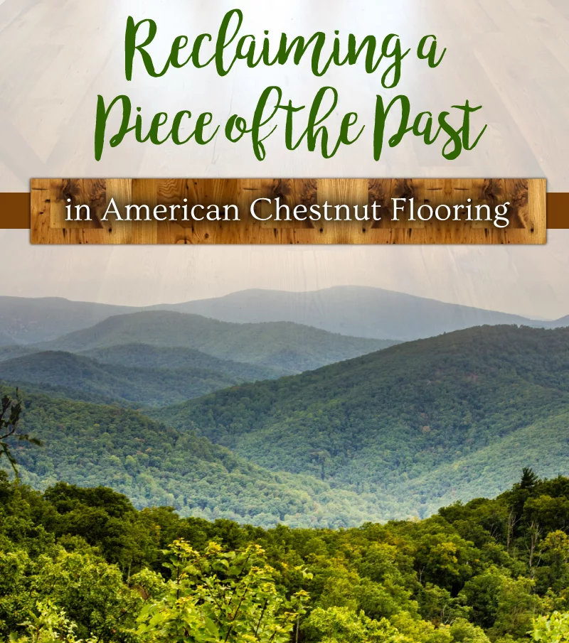 Reclaiming a piece of the past with American Chestnut Flooring