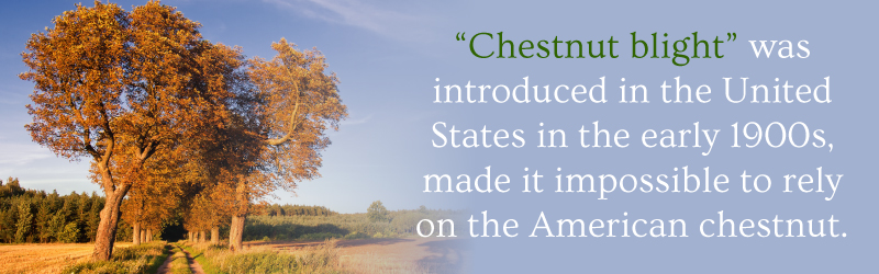 Chestnut blight in the 1900s caused a huge shift in lifestyle.