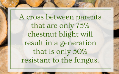 50% Resistance to Chestnut blight would require a cross of parents 75%