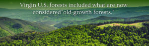 US Old Growth Forests
